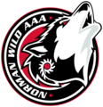 Norman Wild AAA Hockey